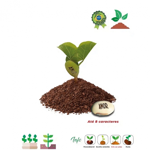 Kit Ecobox Semente Mágica  05 523-MB03741